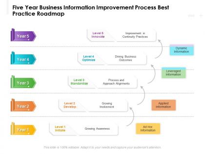 Five year business information improvement process best practice roadmap