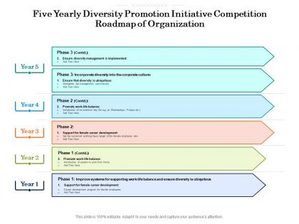 Five yearly diversity promotion initiative competition roadmap of organization