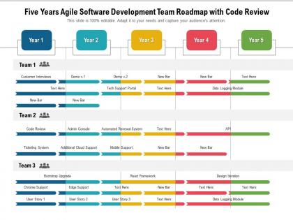 Five years agile software development team roadmap with code review