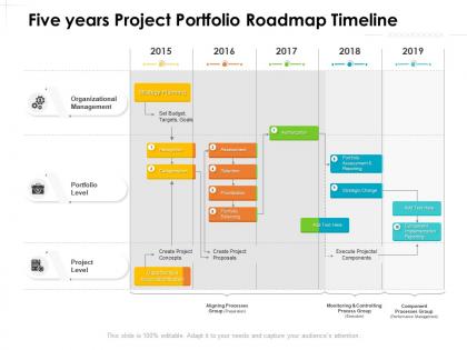 Five years project portfolio roadmap timeline
