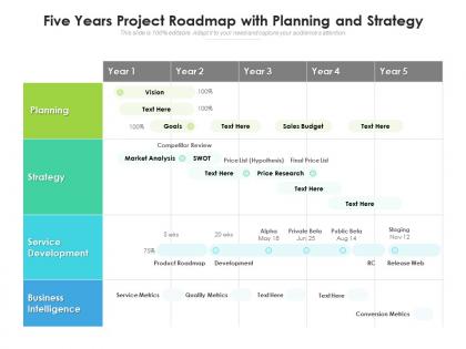 Five years project roadmap with planning and strategy