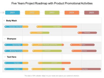 Five years project roadmap with product promotional activities