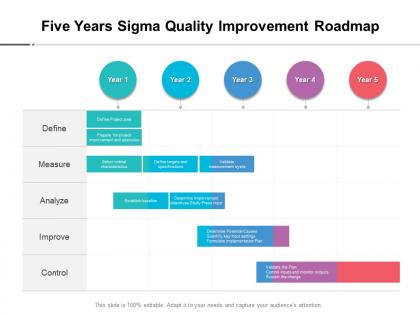 Five years sigma quality improvement roadmap