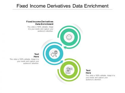 Fixed income derivatives data enrichment ppt powerpoint presentation gallery vector cpb
