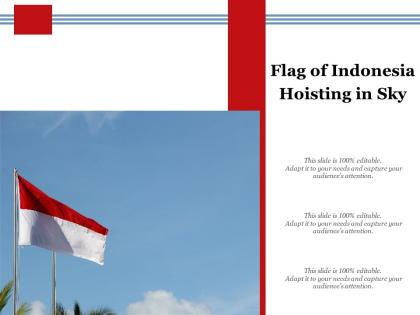 Flag of indonesia hoisting in sky