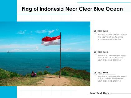 Flag of indonesia near clear blue ocean