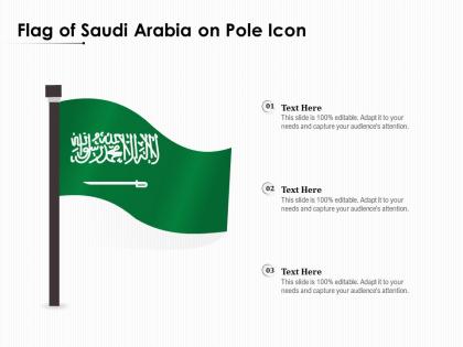 Flag of saudi arabia on pole icon