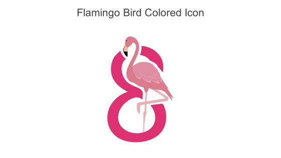 Flamingo Bird Colored Icon In Powerpoint Pptx Png And Editable Eps Format