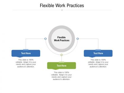 Flexible work practices ppt powerpoint presentation file backgrounds cpb
