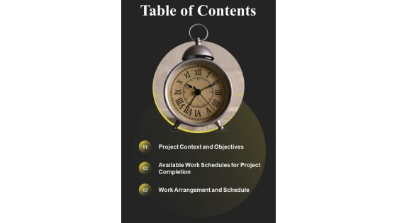 Flexible Working Schedule Proposal Table Of Contents One Pager Sample Example Document