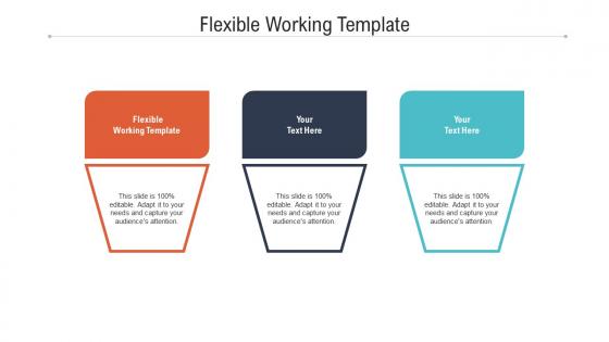 Flexible working template ppt powerpoint presentation infographic template slideshow cpb