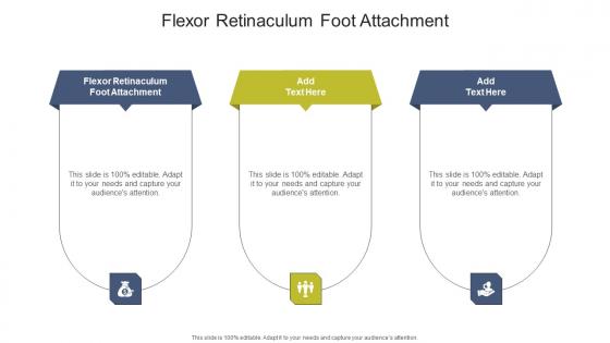 Flexor Retinaculum Foot Attachment In Powerpoint And Google Slides Cpb
