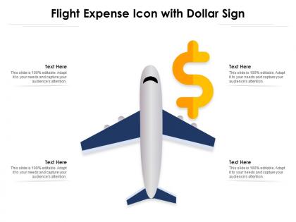 Flight expense icon with dollar sign