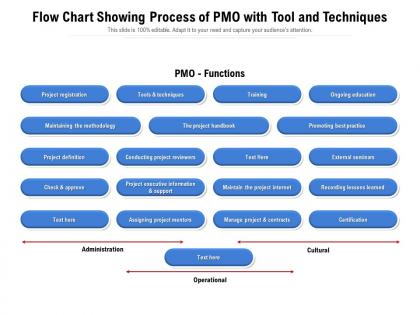 Flow chart showing process of pmo with tool and techniques