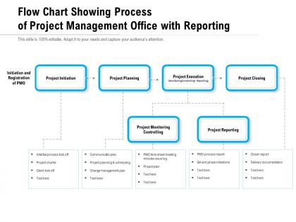 Flow chart showing process of project management office with reporting