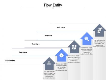 Flow entity ppt powerpoint presentation portfolio visuals