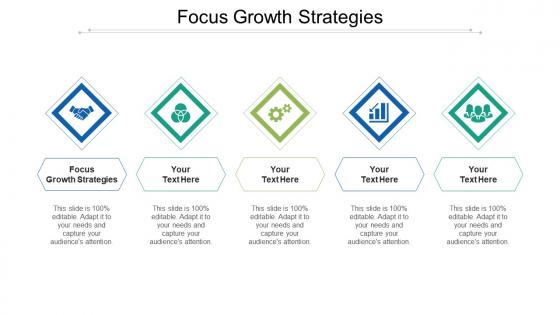Focus growth strategies ppt powerpoint presentation icon file formats cpb