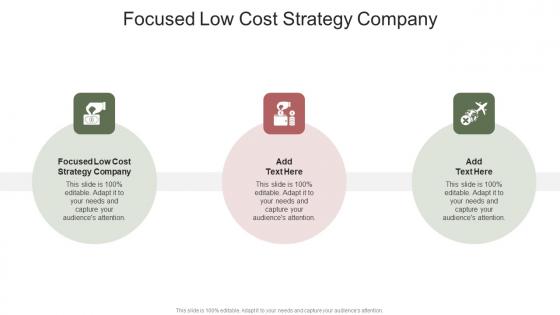 Focused Low Cost Strategy Company In Powerpoint And Google Slides Cpb