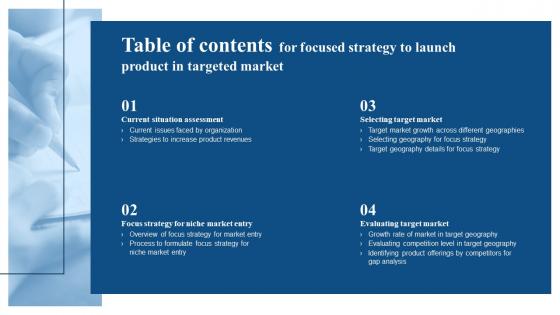 Focused Strategy To Launch Product In Targeted Market For Table Of Contents Ppt Slides Background Images