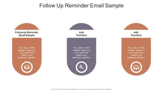 Follow Up Reminder Email Sample In Powerpoint And Google Slides Cpb