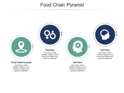 Food chain pyramid ppt powerpoint presentation example file cpb