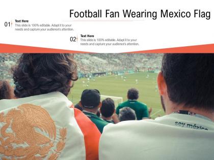 Football fan wearing mexico flag