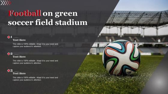 Football On Green Soccer Field Stadium
