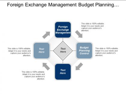 Foreign exchange management budget planning control product development cpb