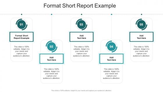 Format Short Report Example In Powerpoint And Google Slides Cpb