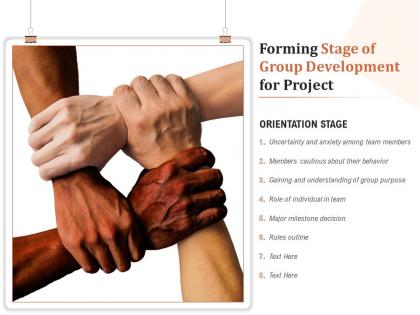 Forming stage of group development for project