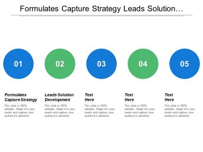 Formulates capture strategy leads solution development identify opportunities