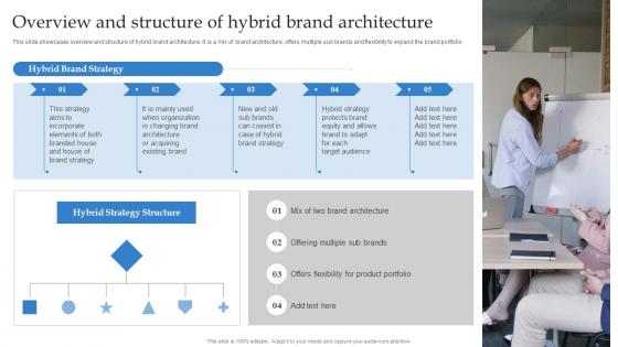 Formulating Strategy With Multiple Product Lines Overview And Structure Of Hybrid Brand Architecture