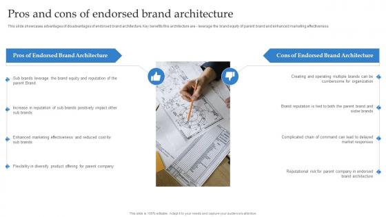 Formulating Strategy With Multiple Product Lines Pros And Cons Of Endorsed Brand Architecture
