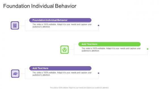 Foundation Individual Behavior In Powerpoint And Google Slides Cpb
