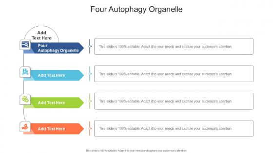 Four Autophagy Organelle In Powerpoint And Google Slides Cpb