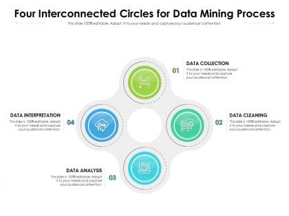 Four interconnected circles for data mining process