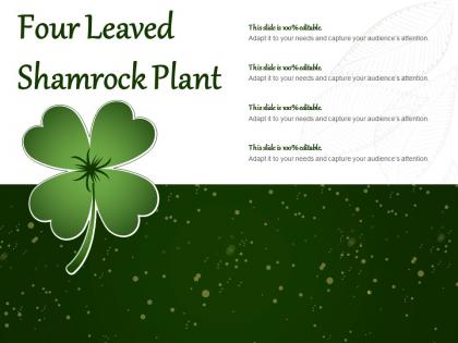 Four leaved shamrock plant