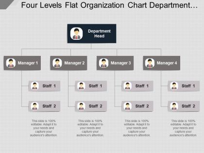 Four levels flat organization chart department head and managers