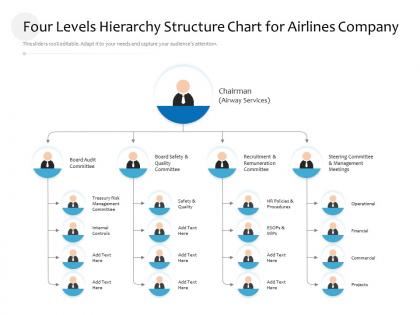 Four levels hierarchy structure chart for airlines company infographic template