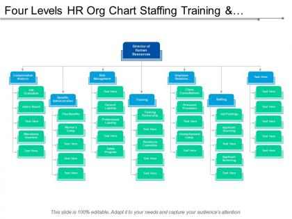 Four levels hr org chart staffing training and compensation analysis