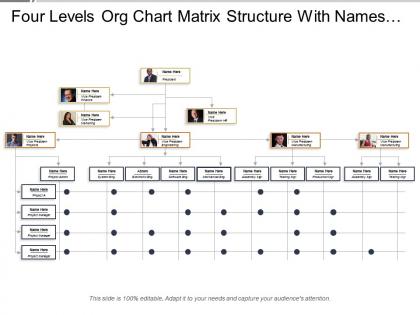 Four levels org chart matrix structure with names and profile