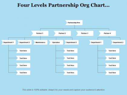 Four levels partnership org chart maintenance operations departments