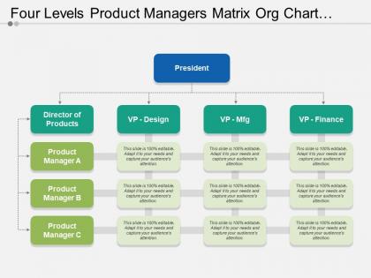 Four levels product managers matrix org chart template