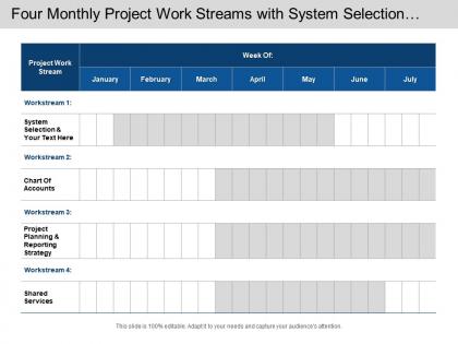 Four monthly project work streams with system selection and shared services
