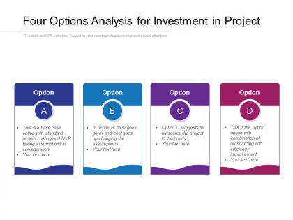 Four options analysis for investment in project