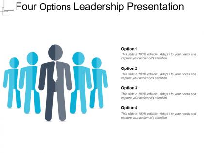 Four options leadership presentation