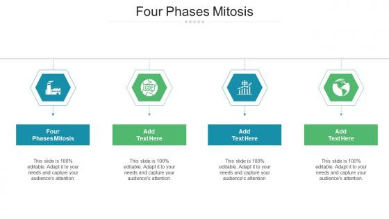 Four Phases Mitosis Ppt Powerpoint Presentation Gallery Icons Cpb