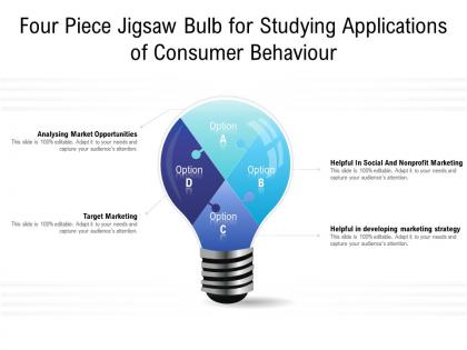 Four piece jigsaw bulb for studying applications of consumer behaviour