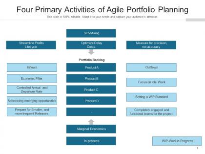 Four primary activities of agile portfolio planning