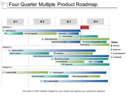 Four quarter multiple product roadmap